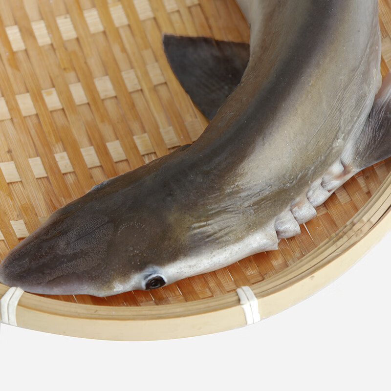 小鯊魚 冰鮮海產中的鮮美傳奇