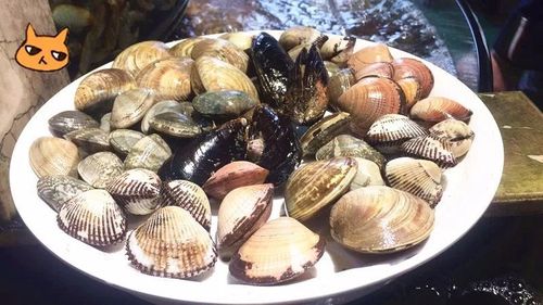 它堪稱南潯"海鮮工廠",超70 種海鮮自選天天平價!