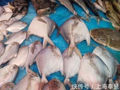 開漁后第一批海產品大量上市!看到梭子蟹價格,大家都笑了~